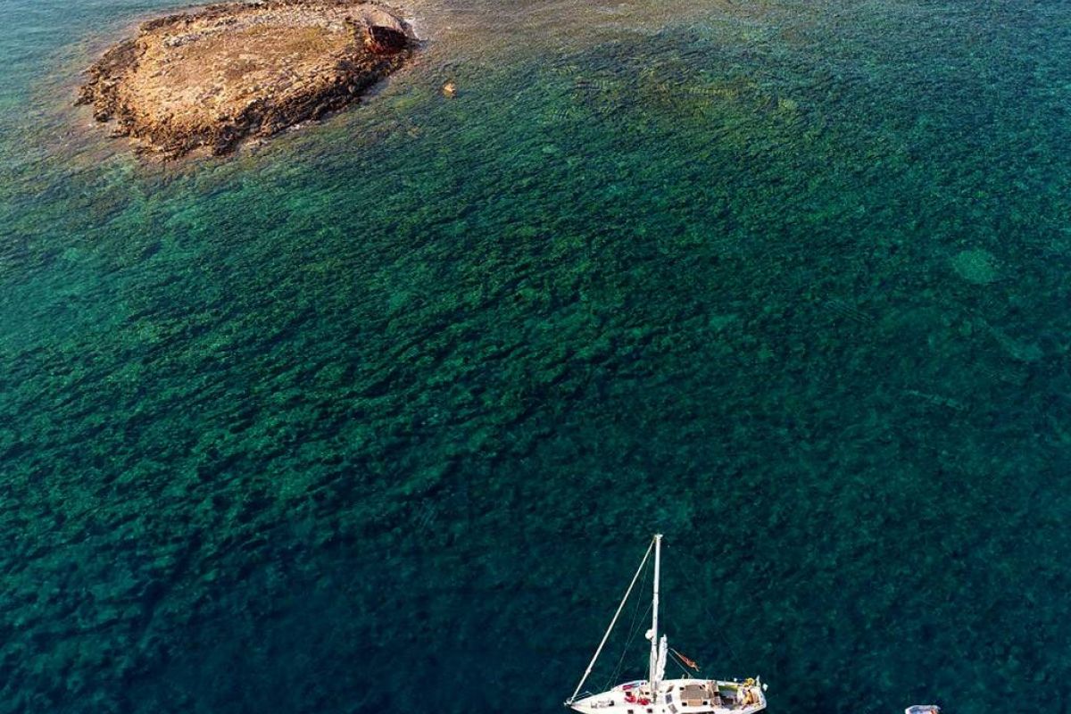 4eb17fd49b62b3ad09824bb5201f6ac7 XL 6d896258