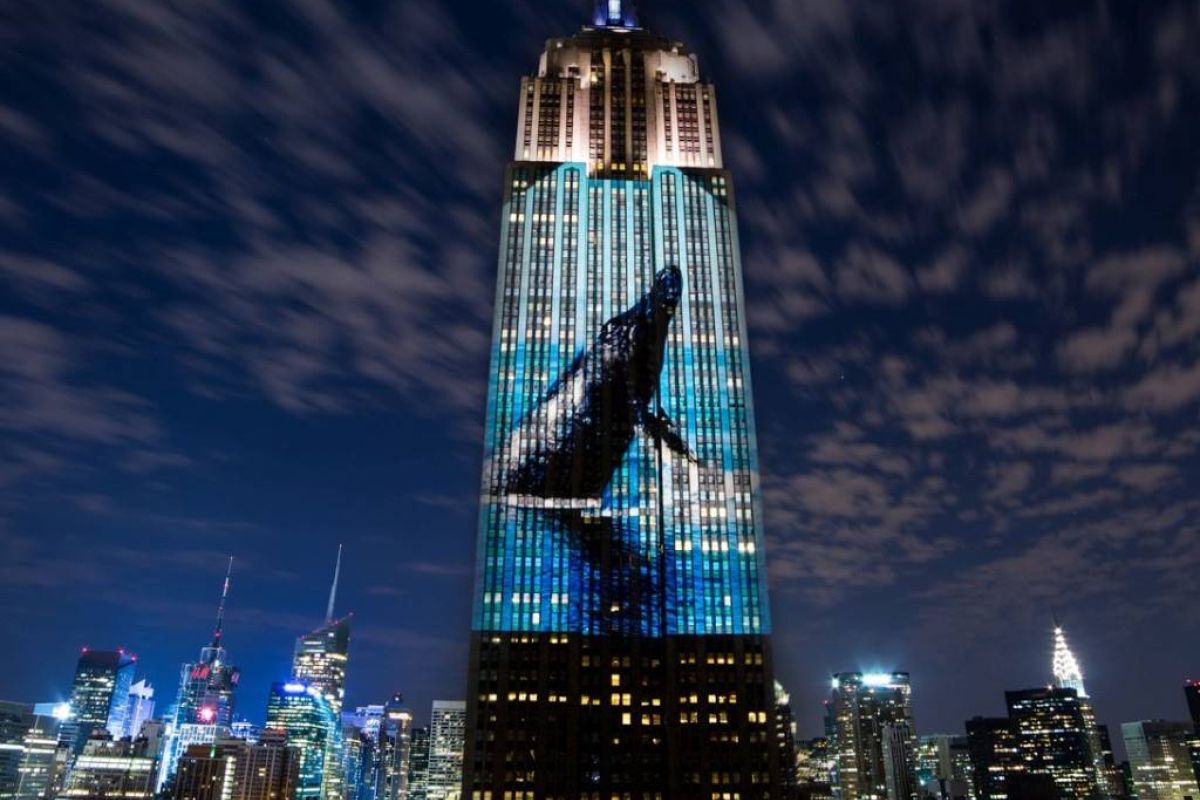 5031cc31e98e273d53a0ba61a259c9de XL 6d2ac7d4