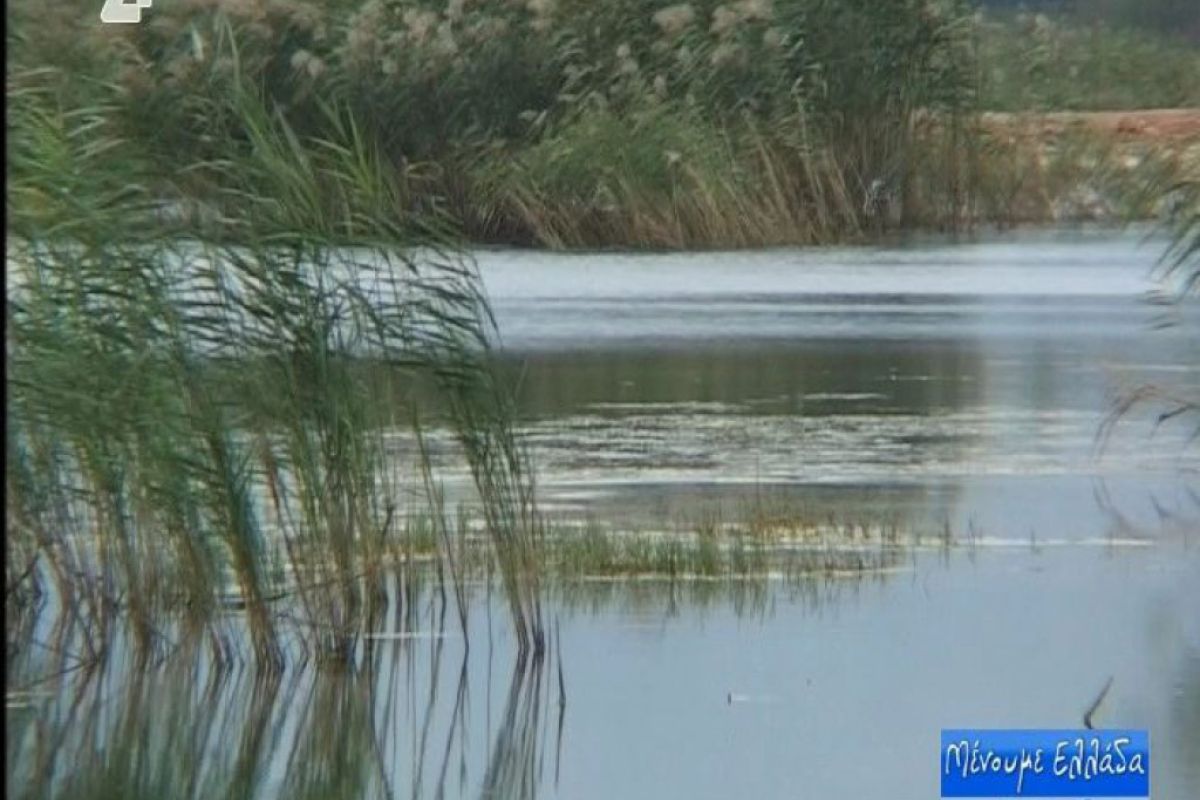 a336ec86656513d8a272014d8ca0f547 XL 6d993cb1