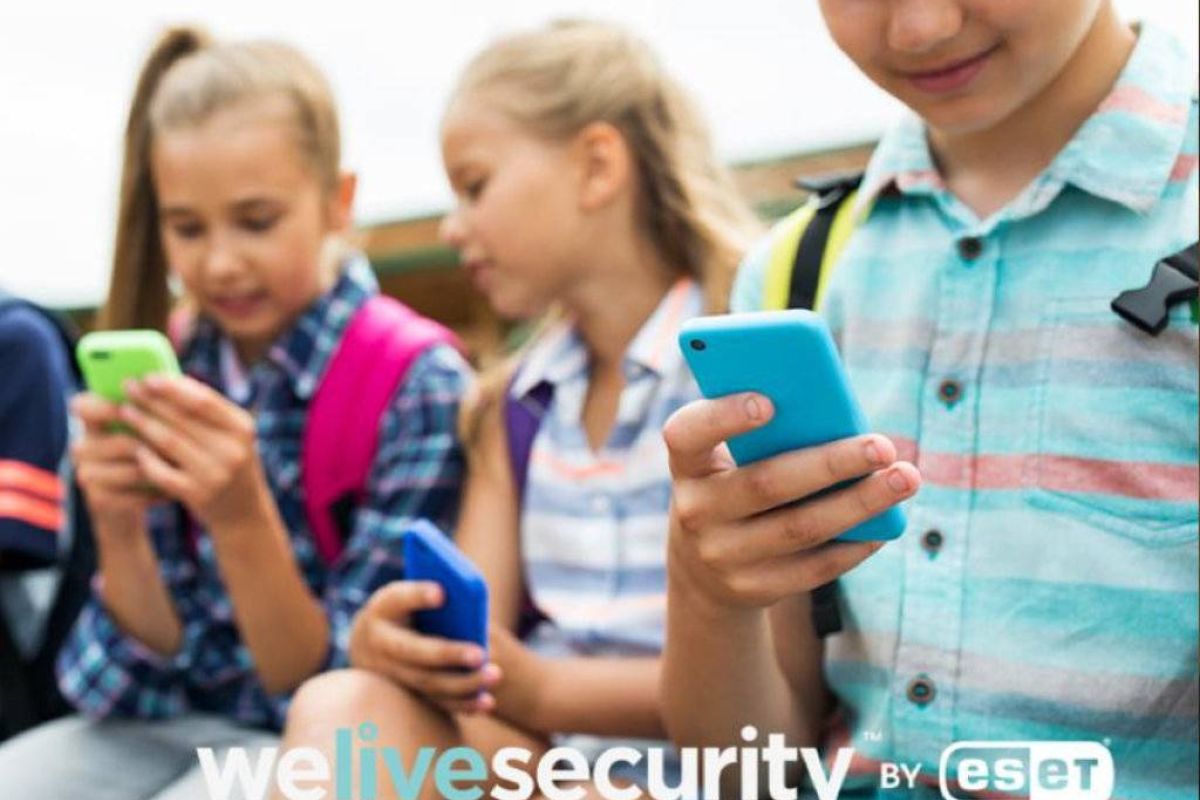 db5104a74228982f375adabaeecc9be3 XL 6dc186f6