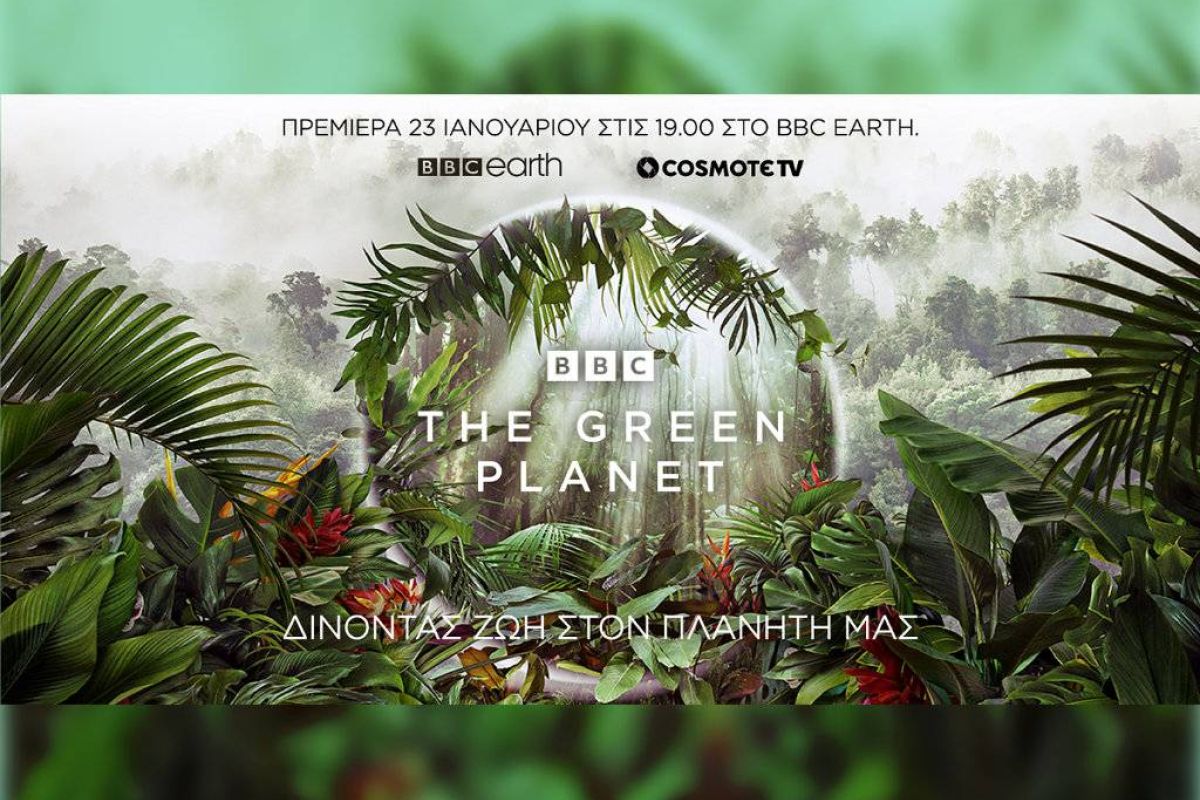 f7e6df013eeb2e035395535a75acbd70 XL 6dd1cb57