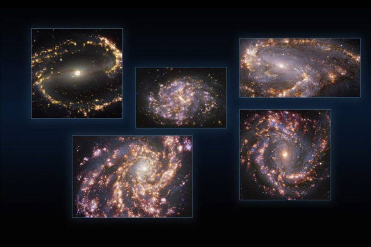 42f140944069040a413dec1c9971e88d XL 6e2ccd79