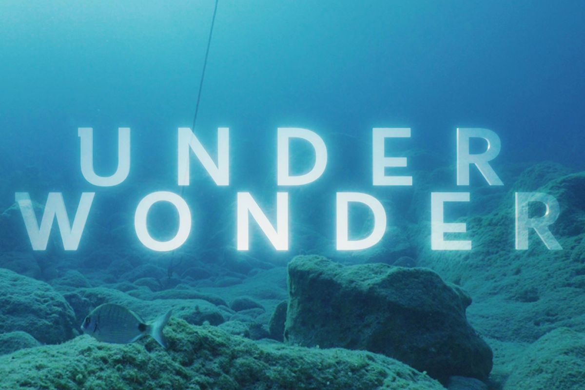 Untitled 1 27 6e9fe9a8