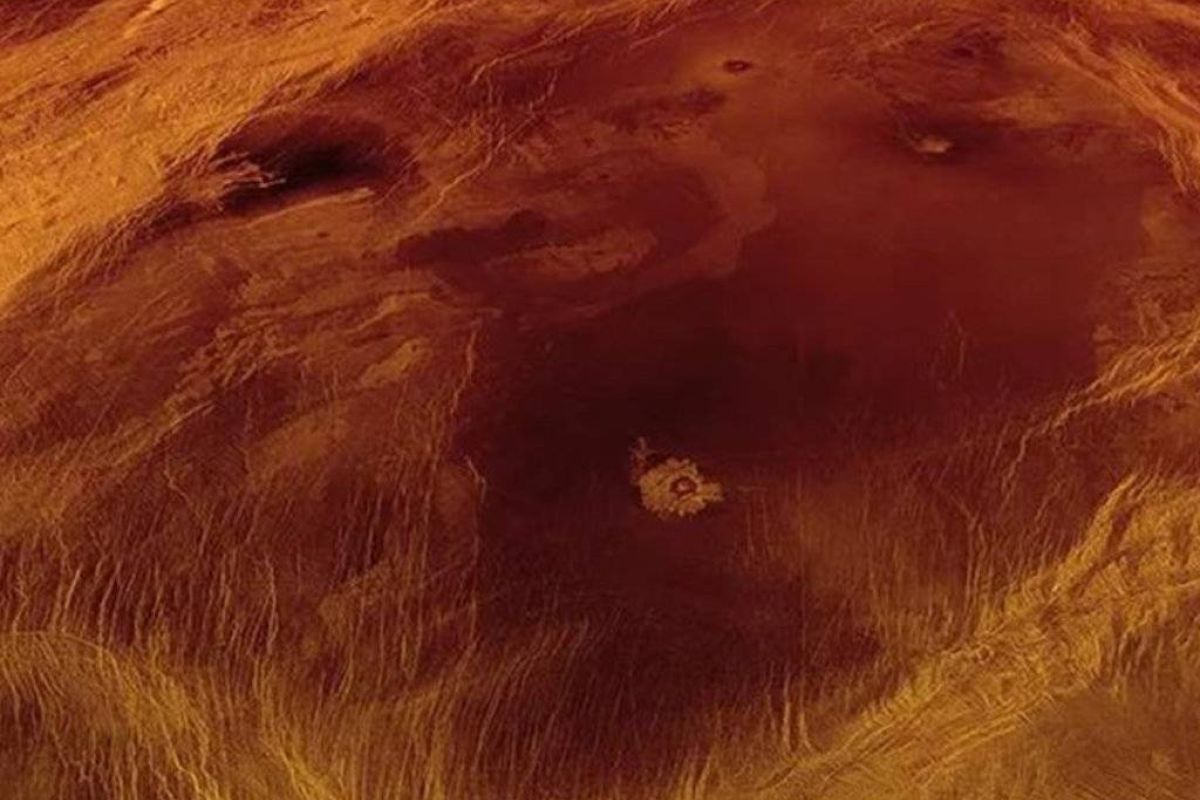 d214df5f8c63ac6e6eaf9074bdfaed89 XL 6eae69b7