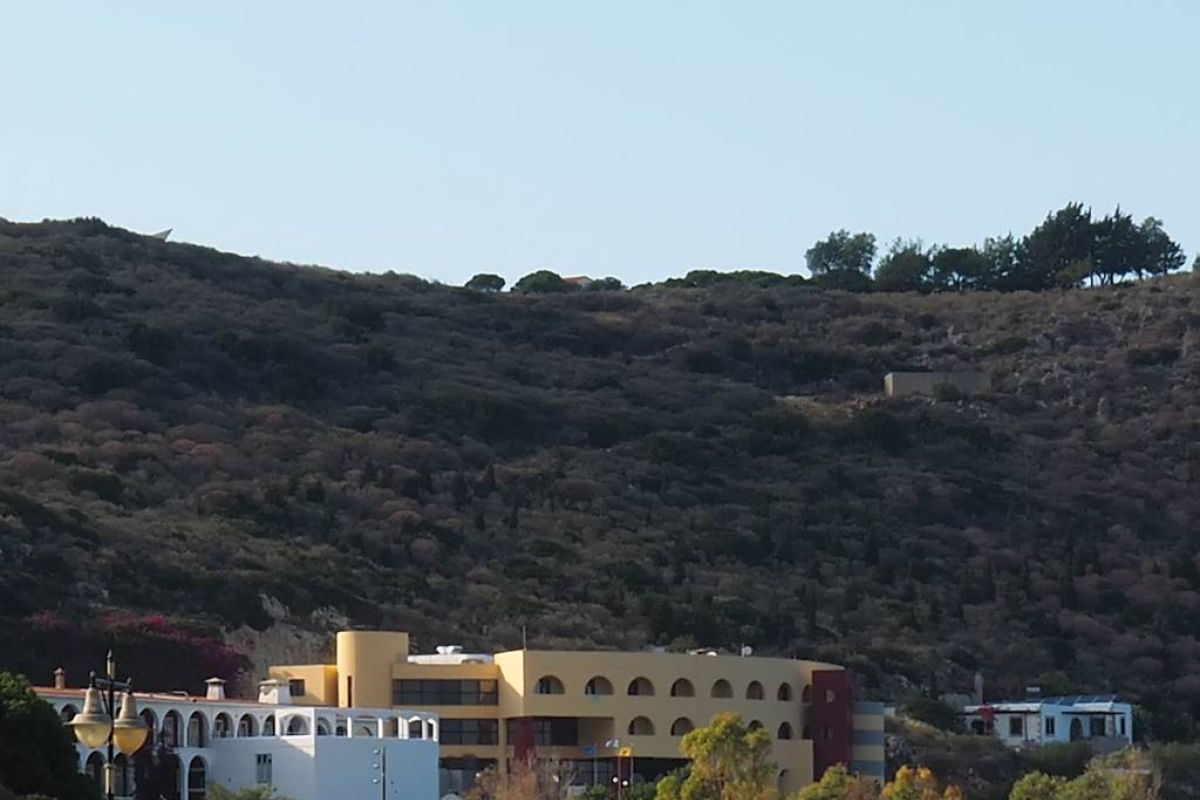 dd85916f6eb795052f7eeabb8dfa1ee8 XL 6e3c8f19