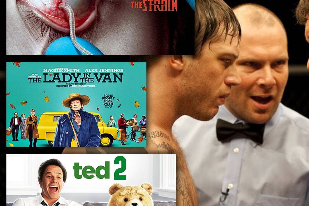 073f2488c6dfa9e99298226884e56702 XL 6f074390