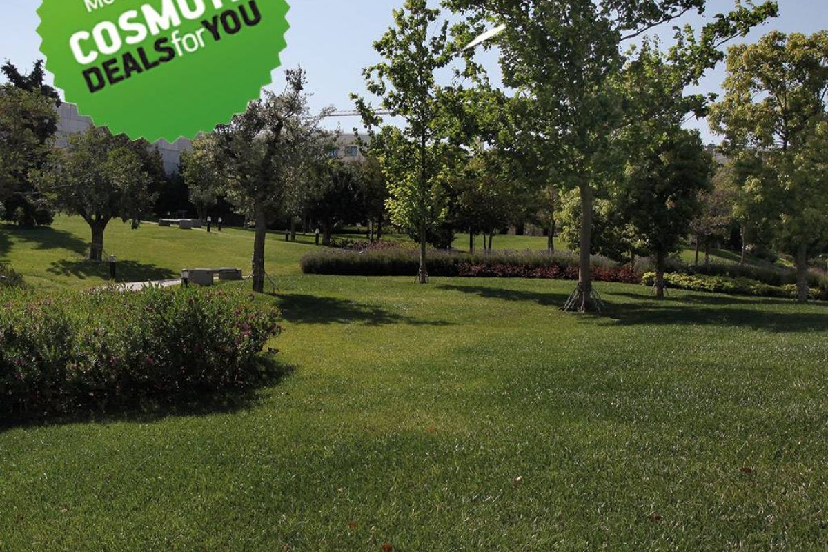 e25649dd26186b2520fcb0b7ea19cdf1 XL 6f4b912f