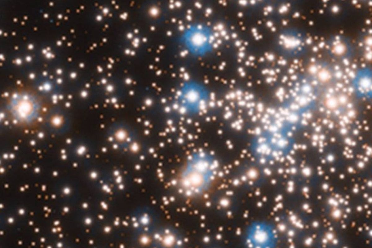 fe1fd1bae4bbe1a10350e1cae1166161 XL 6f99b4e5