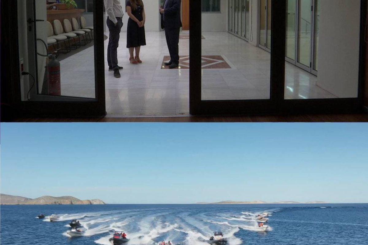 0a98acf2798384d7411a176b51988b91 XL 714be1af