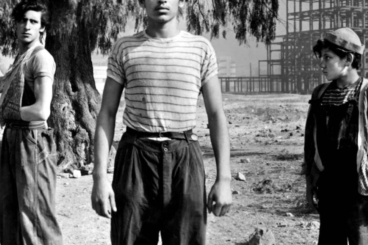 8237771aabb994675a0862a4f0e2e42c XL 7221db99