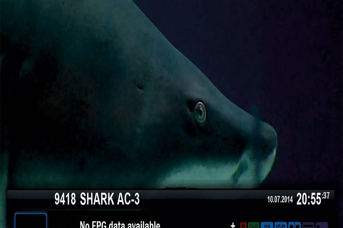 f5670c388011380ef3a39f6b2902ec73 XL 72fb256c