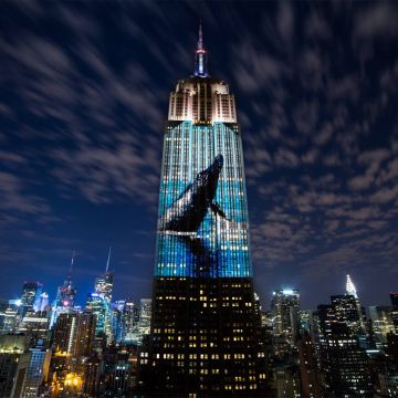 «Ραγδαίος αφανισμός», ντοκιμαντέρ στην ΕΡΤ2