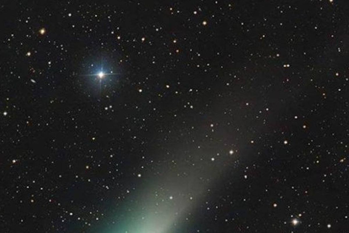 ad2b88ca54518ddfef3da4521e3cc5c0 XL 735bd145