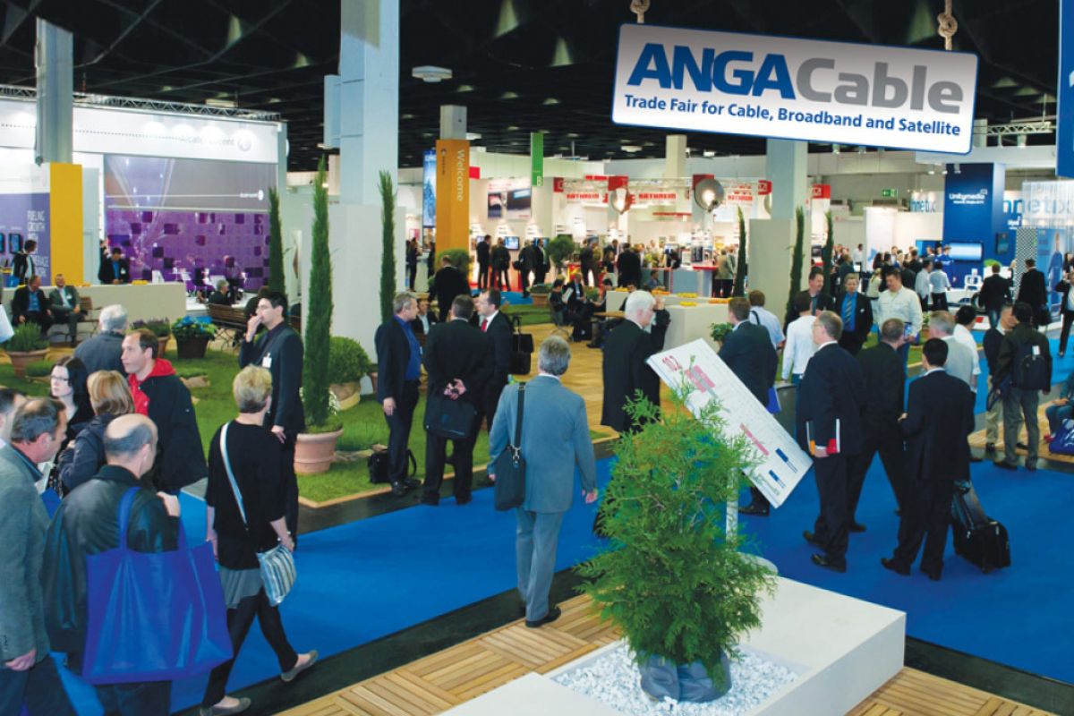 be65ec13d773c35c2b7d24d47ed3e088 XL 7317008a