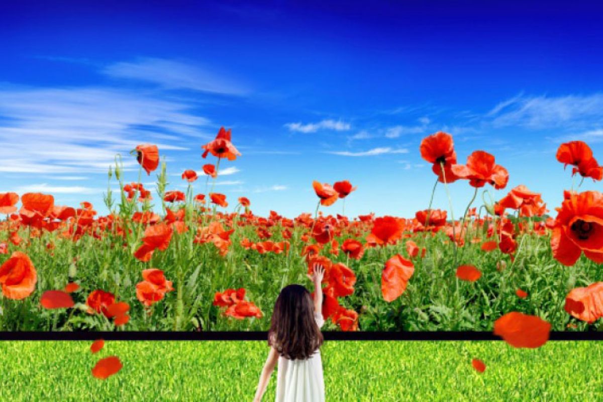 f7a0a54c92471ac4480e727e4ccf93df XL 7350cc1e