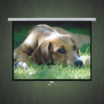 Πανιά ηλεκτρικά και απλά για Projectors