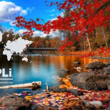 Η ομάδα του OpenPLi διακόπτει την υποστήριξη στους Dreambox