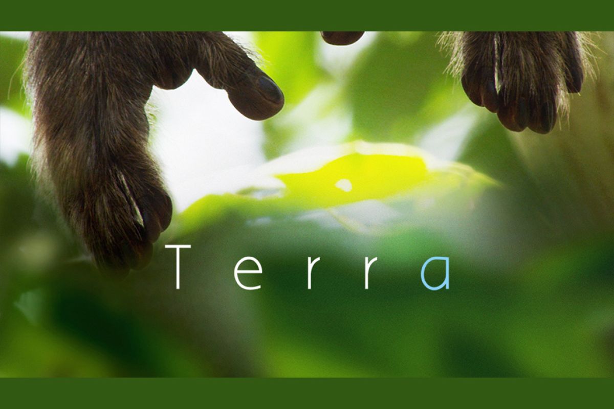 Untitled 1 116 778a36fc