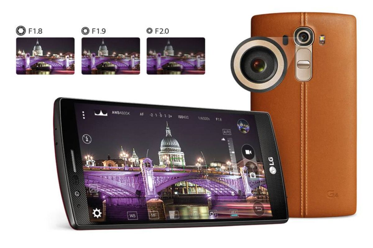 806445b35864912d33fc08382aeee566 XL 7830598b