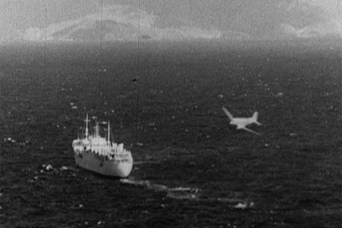 c56c7dcde41c0ef5ff737cff29c31119 XL 788a5ec7