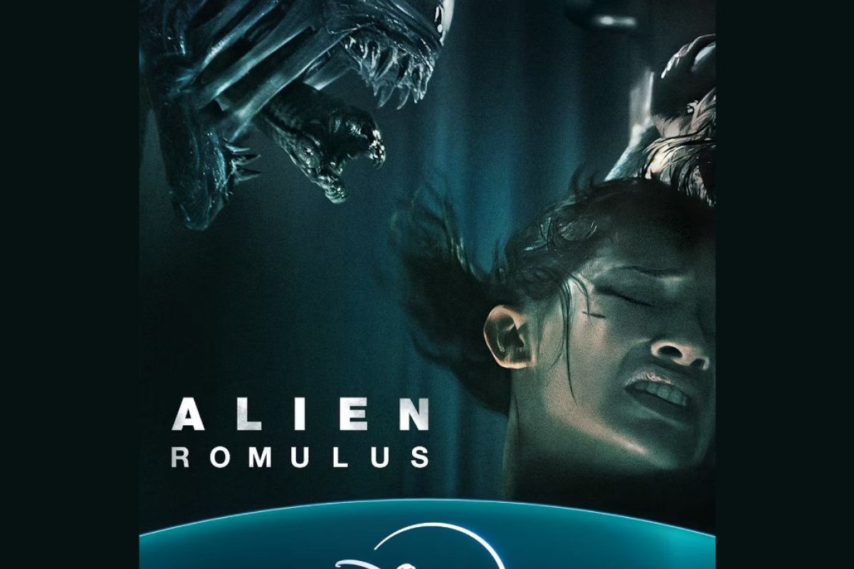 1024X1024 8 79f18a38