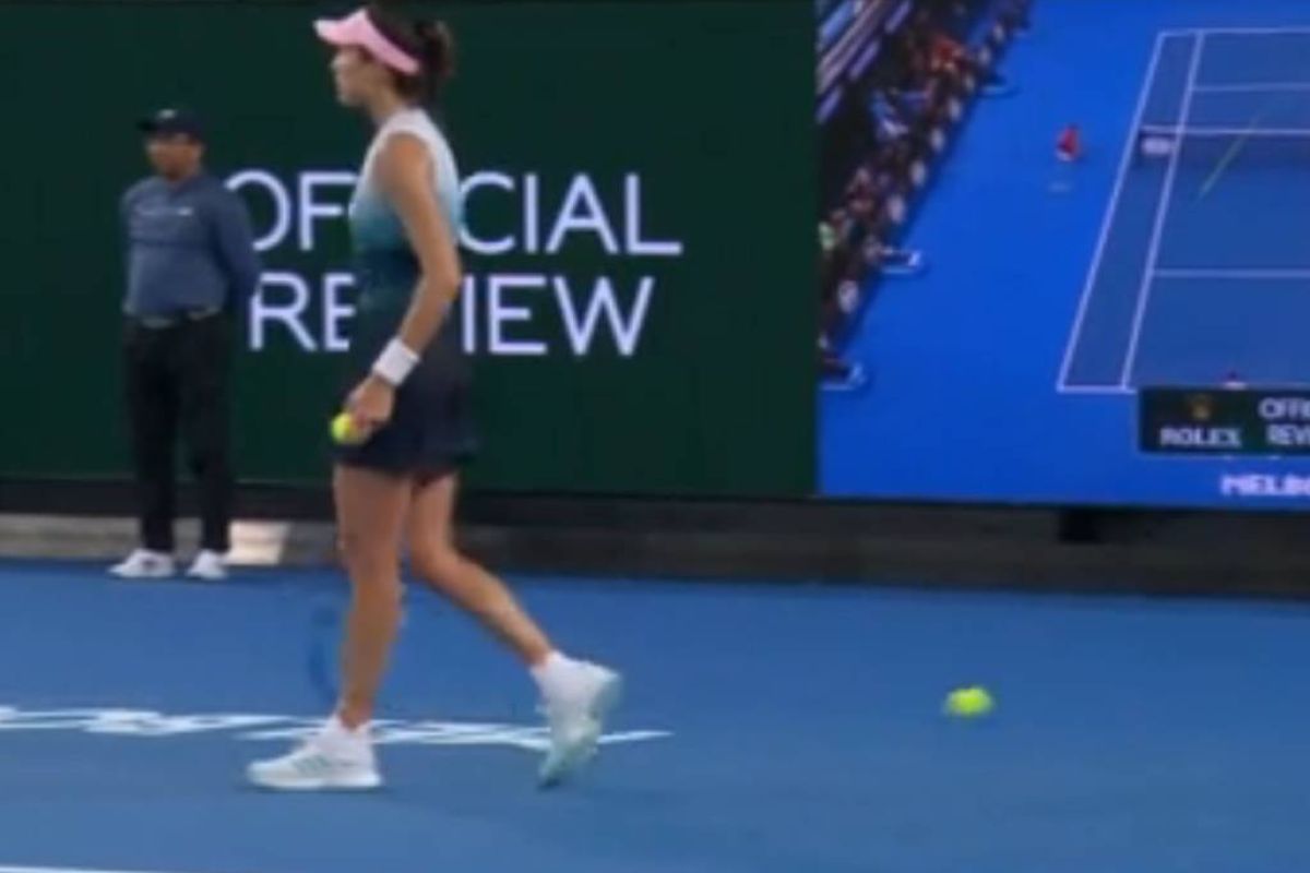 4e5f8c407132671a1194018db415b63c XL 7a41cf77