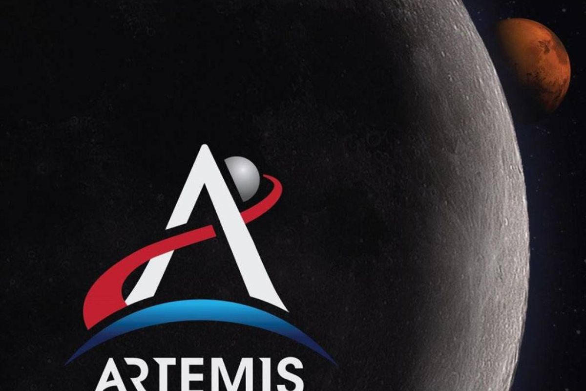 864e991ea9f3c59c540711da8801752c XL 7ab4cd38