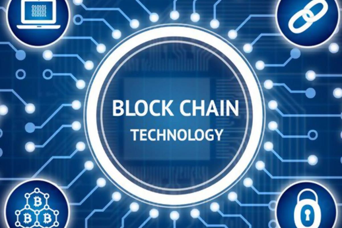 c7b70e47cce1b3cf9f31d6c973aceaed XL 7a660813