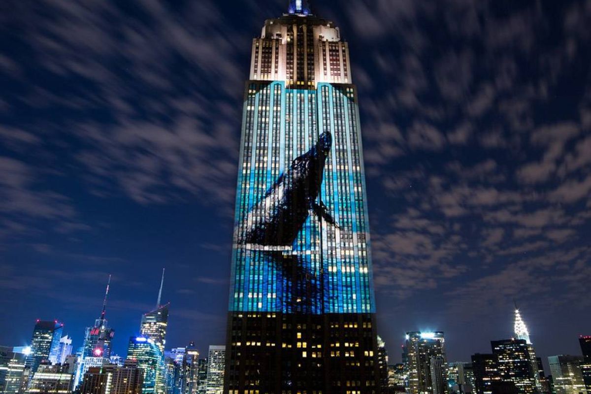 0b0d99dc1aaf8ec7092f59d16ff6b682 XL 7b5f6ae5