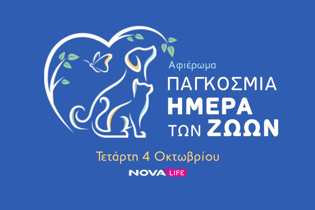 Untitled 1 1 7b33a37f