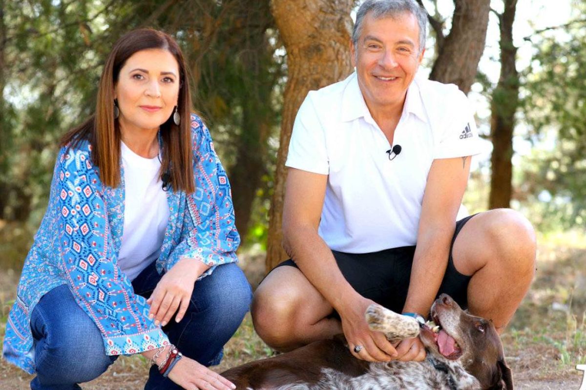 2c5599b0bfc8bbbe5526611fa066bf07 XL 7c014625