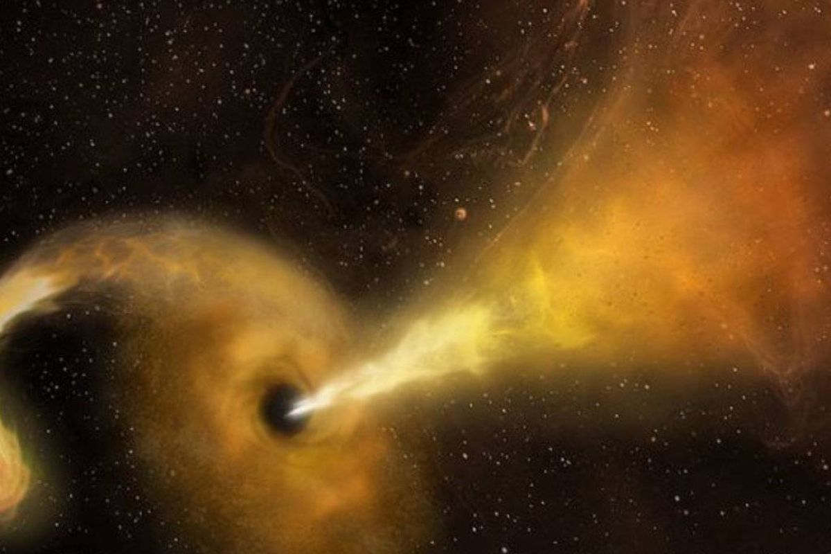 2ec203b90461c0672b118a3b96a534d1 XL 7c2eb33a