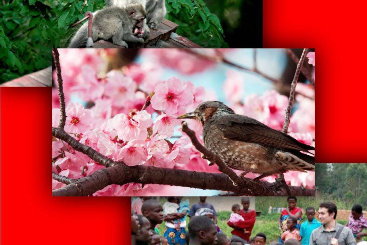 a558b48fcb9aa473975b456aaed8ed17 XL 7c97d9b1