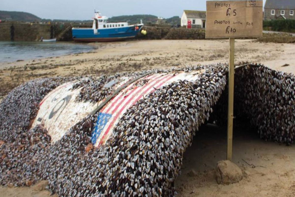 Τμήμα πυραύλου Falcon 9 της SpaceX ξεβράστηκε σε ακτή της Αγγλίας