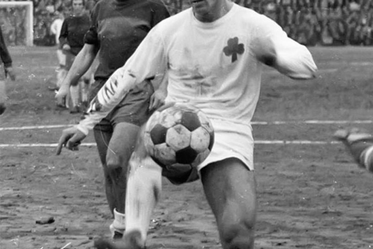 3851913dc54d8405d9750c7863a80b88 XL 7dd9540c