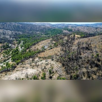 Η Nova παρέδωσε το μείζον έργο αποκατάστασης πυρόπληκτων περιοχών στη Ρόδο