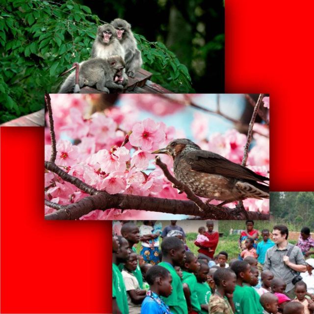 Ο τρίτος κύκλος του «Τα μεγαλύτερα και μοχθηρότερα» και ένα συγκλονιστικό αφιέρωμα στην Άγρια Ασία έρχονται τον Νοέμβριο στο Viasat Nature