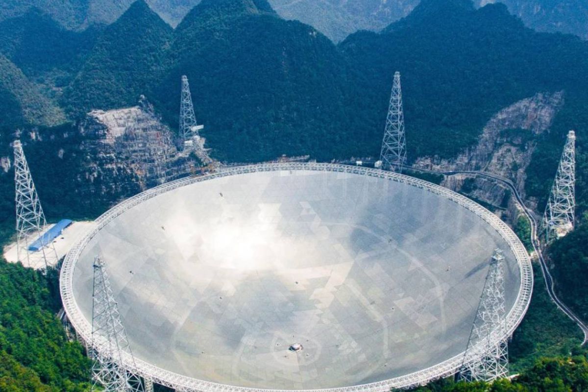 508981f3bf59096843d7e270372116a0 XL 7f3c51ce