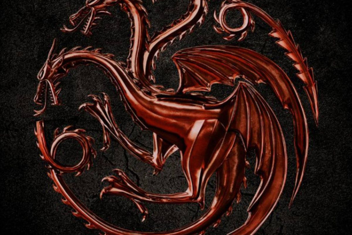 89d234043d62ccfaa4e2eb5d49a5434b XL 7f313589