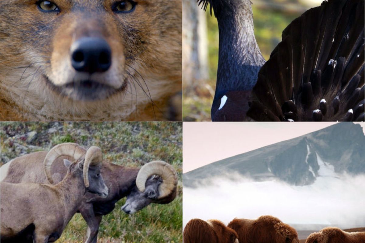 1024X1024 17 800eb20a