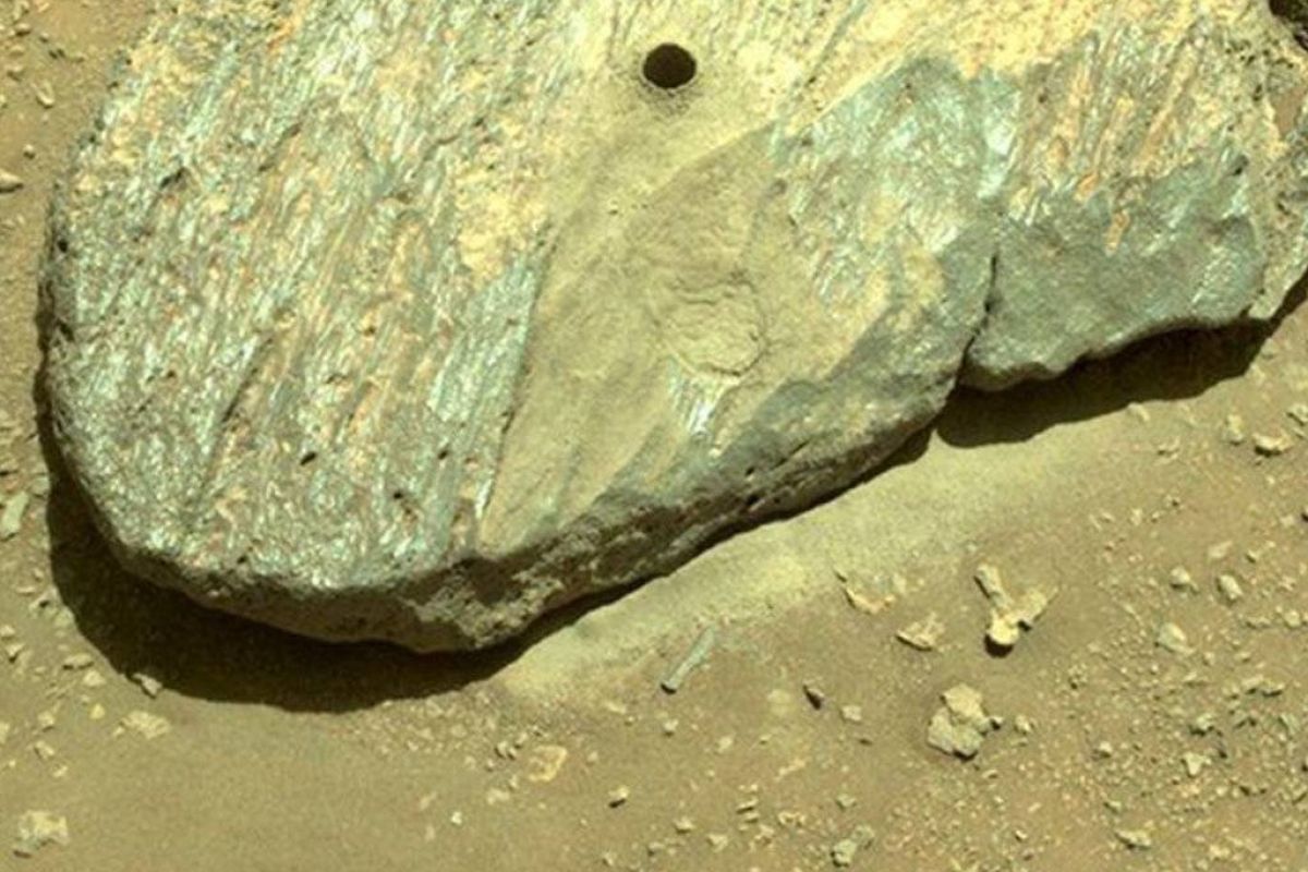 446d5825f48d3544742a8b2118fb730e XL 8086a1be