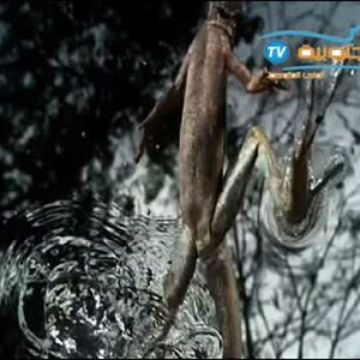 Νέο Τυνησιακό κανάλι λανσάρεται από την Γαλλία