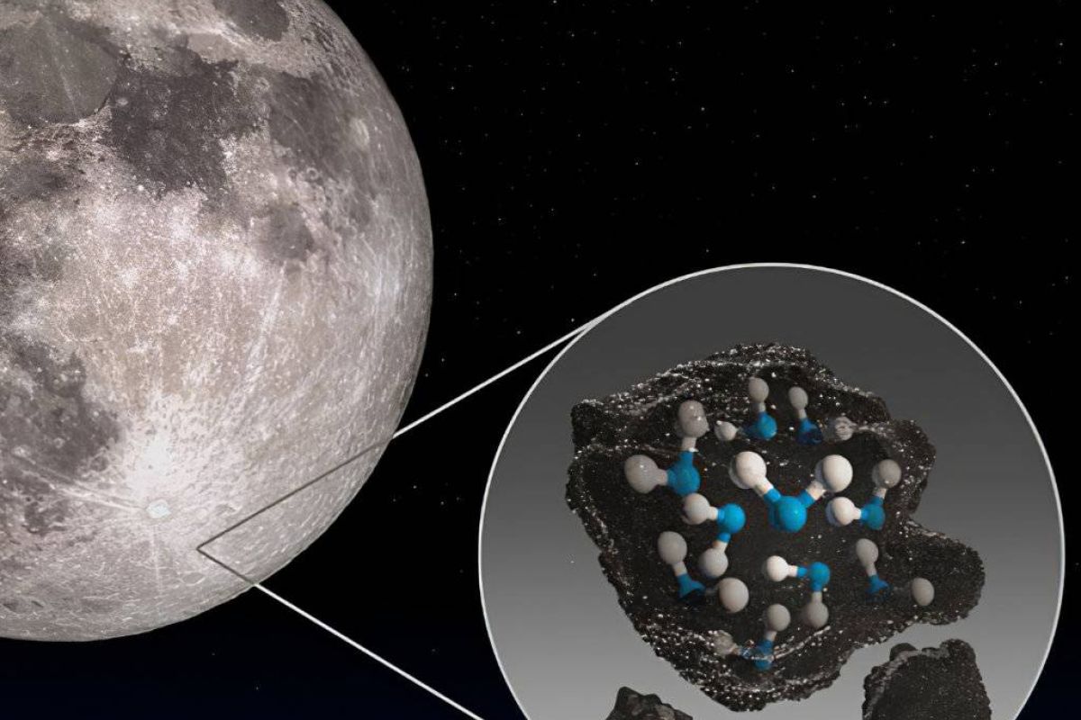 4d203d017f63cbed2c1c61a60476478c XL 811a9295