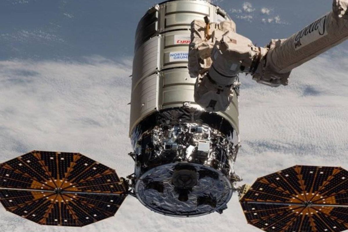 8778781df930396a506ebb435a33d85e XL 8135ca1a