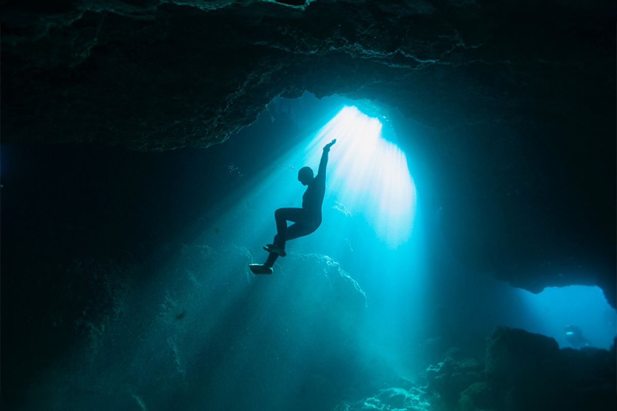 Untitled 1 31 81a00baf