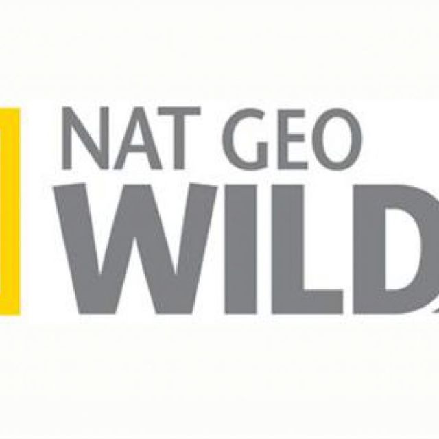 Δοκιμές των Fox HD και Nat Geo Wild HD στις 19.2Ε για το γερμανικό Sky