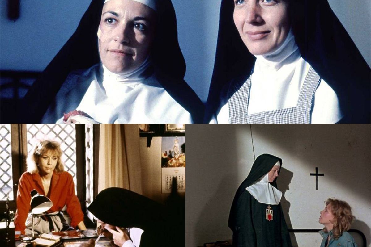 353d74dd793d453975e460cff5630226 XL 84b01157