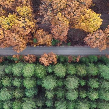 «Χρώμα Ελλάδας» – Το συναρπαστικό ταξίδι με drones πάνω από την Ελλάδα συνεχίζεται στο ΕΡΤNEWS