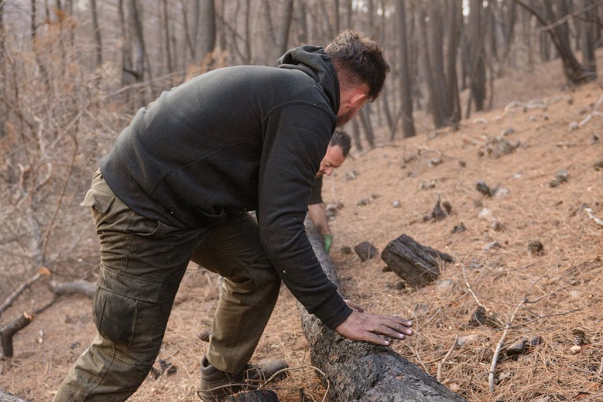 Untitled 1 151 84b8d2aa