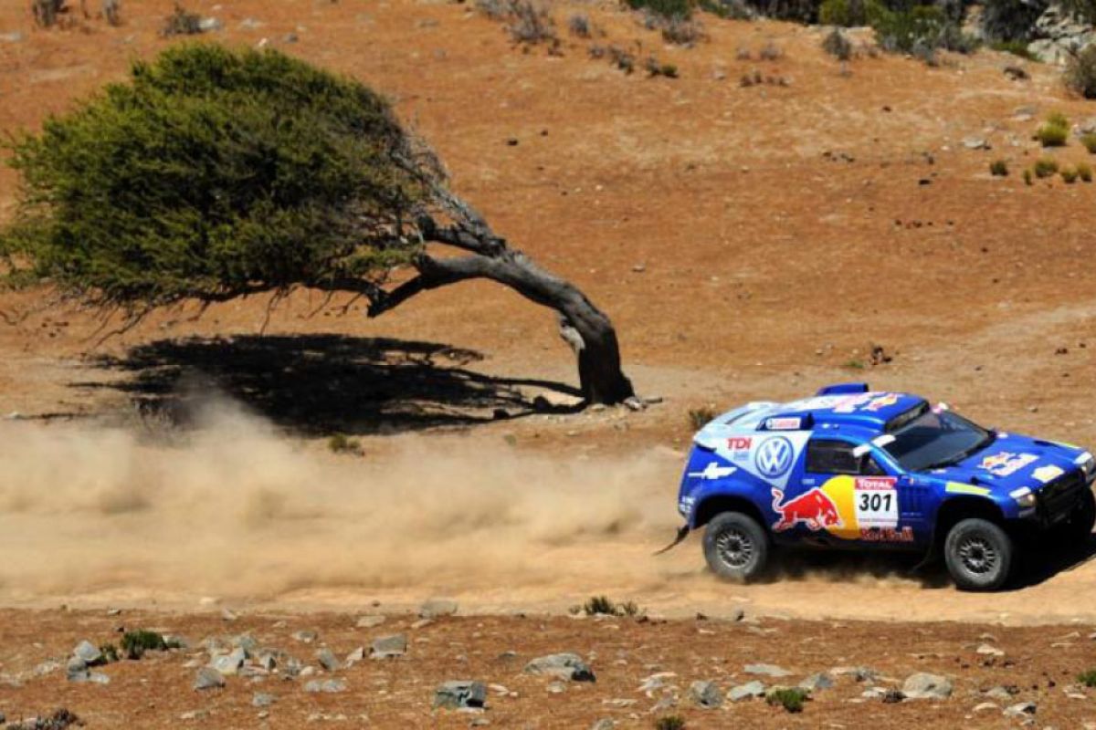 e9ade54bcd41c186f40b423e5c4dc324 XL 85b1691f